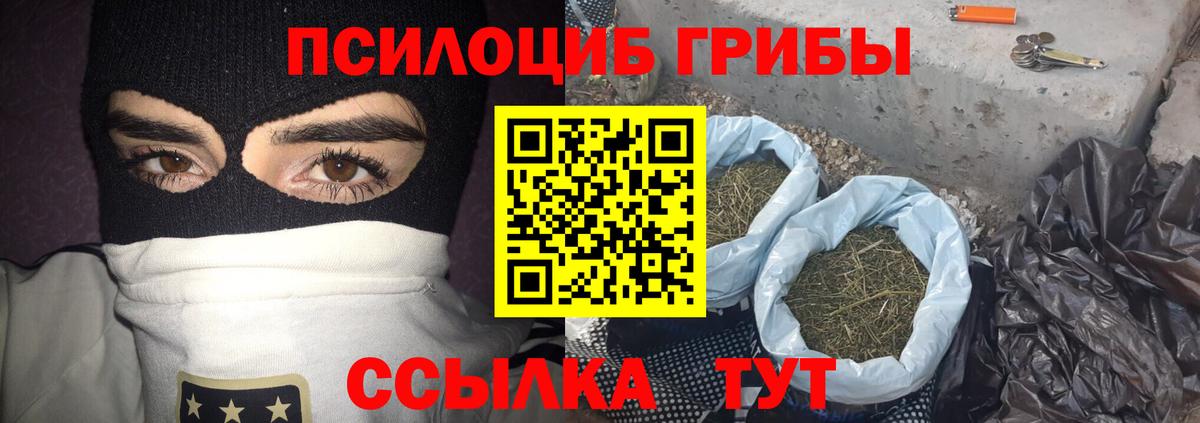 Галлюциногенные грибы Psilocybine cubensis  Псилоцибиновые грибы Psilocybine cubensis  Ессентуки  Вход с VPN 