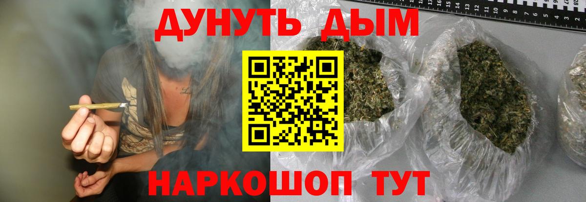 Каннабис OG Kush Ессентуки